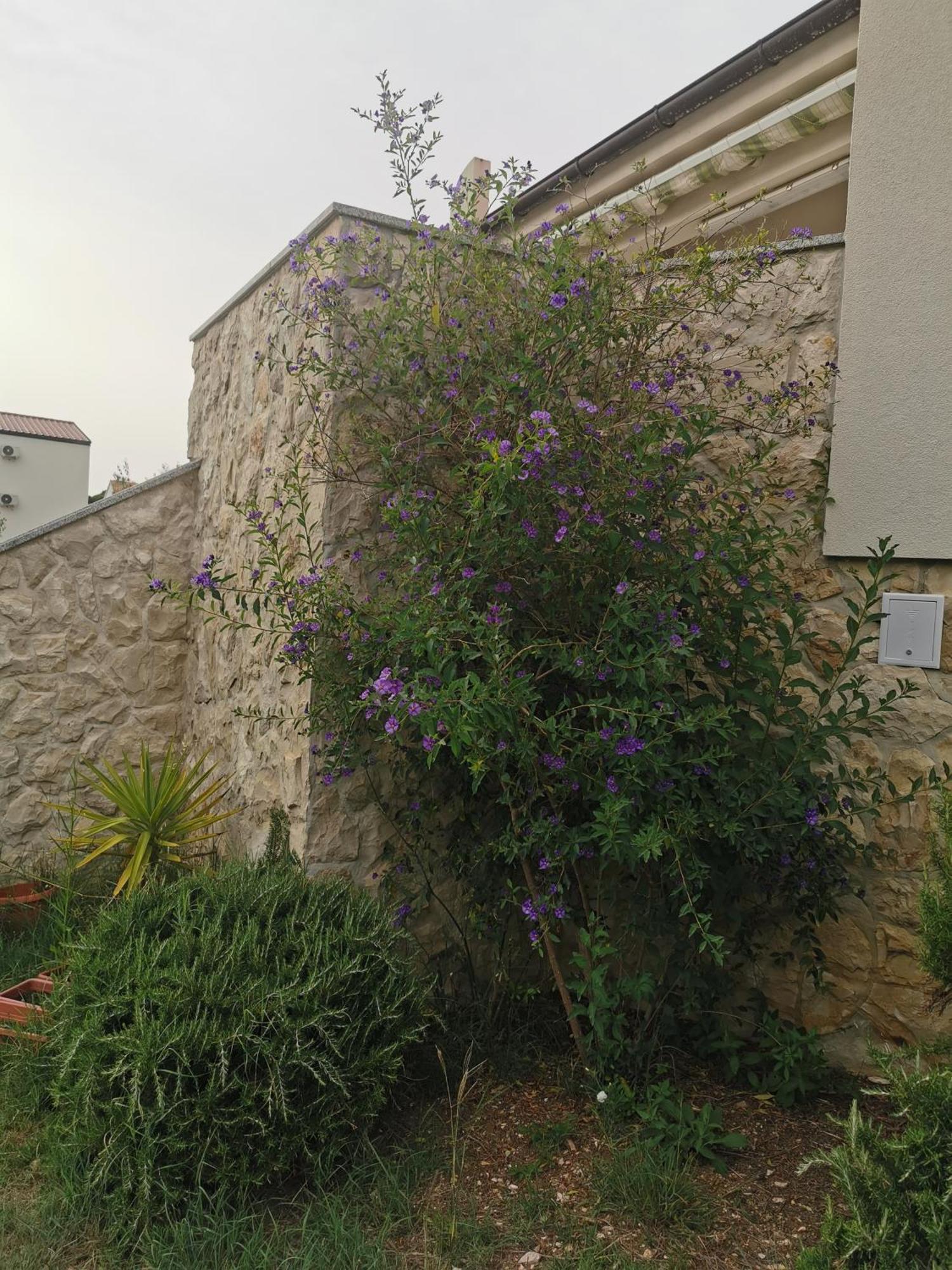 Apartments Riva Povljana Εξωτερικό φωτογραφία