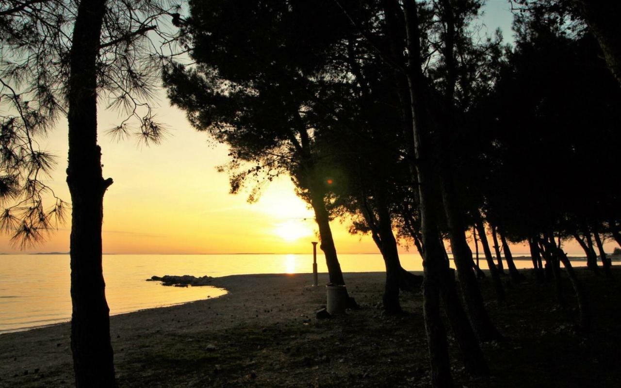 Apartments Riva Povljana Εξωτερικό φωτογραφία