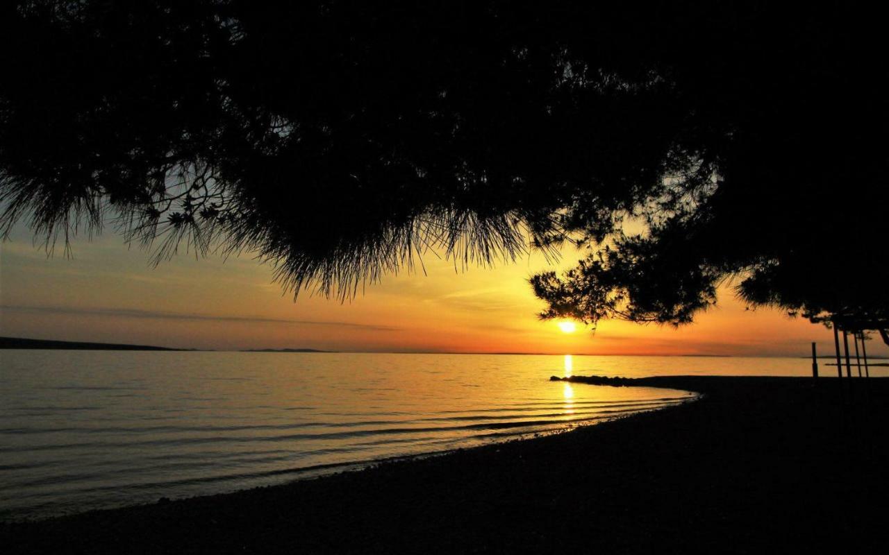 Apartments Riva Povljana Εξωτερικό φωτογραφία